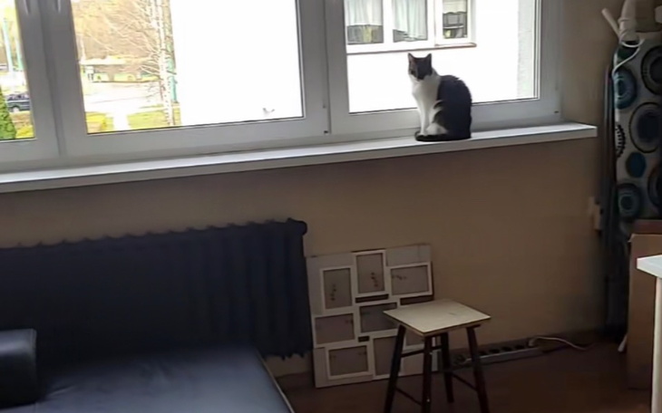 Zbiórka Remont zniszczonego pokoju - zdjęcie główne