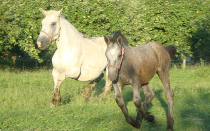 Zbiórka Nie ZABIJAJ jej - zdjęcie główne