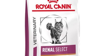 Zbiórka Karma renal - miniaturka zdjęcia