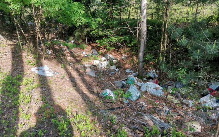 Zbiórka Fotopułapki dla czystych lasów! - zdjęcie główne