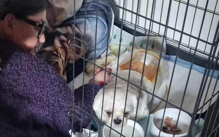 Zbiórka Operacja kregoslupa i rehabilita - zdjęcie główne