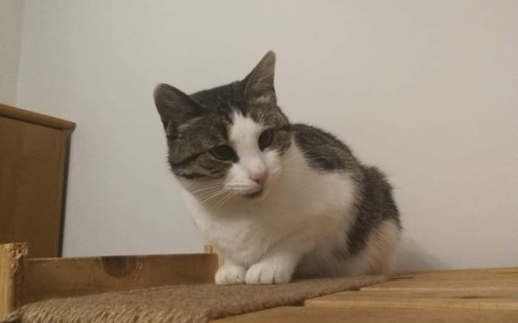 Zbiórka Wyrzucili na pewną śmierć - zdjęcie główne