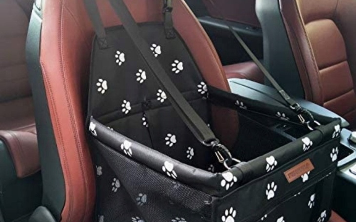 Zbiórka Transporter dla pieska - zdjęcie główne