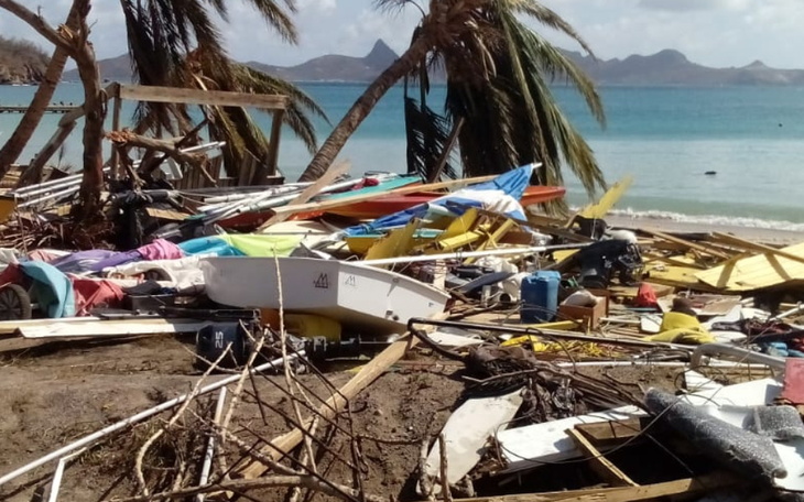 Zbiórka PomocBig Mama/ Denis/Alex/Antek - zdjęcie główne