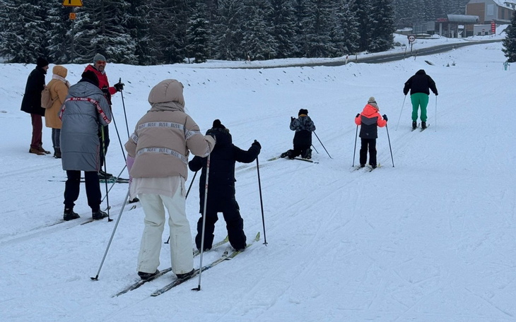 Grupa osób na nartach w zimowym krajobrazie.