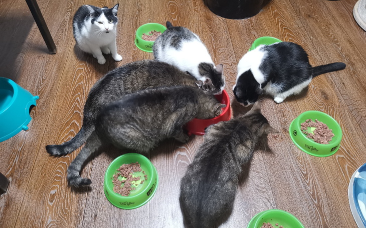 Zbiórka Transparetność to podstawa IX - zdjęcie główne