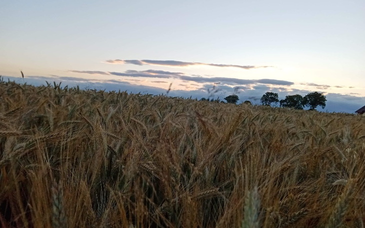 Zbiórka Na rodzine i na jedzenie - zdjęcie główne