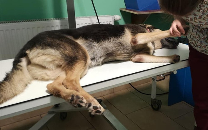 Zbiórka Nie mamy na opłacenie faktur :( - zdjęcie główne