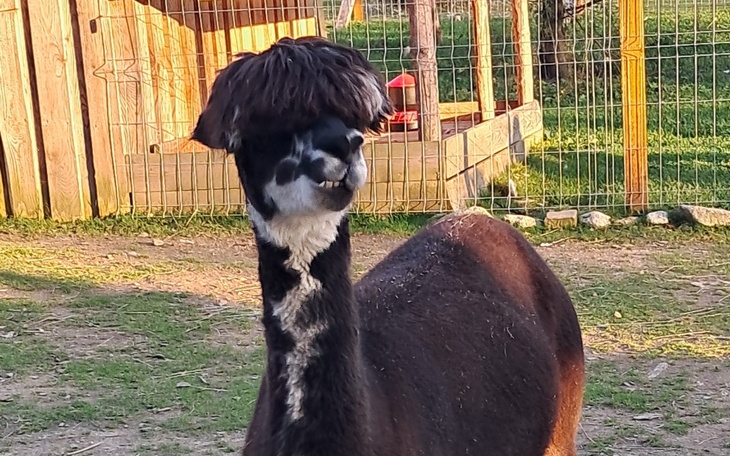 Zbiórka Otwarcie gabinetu terapii zajeci - zdjęcie główne