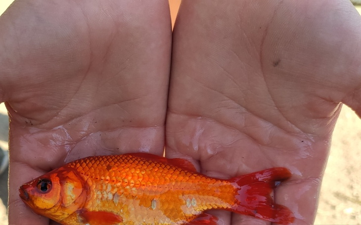 Zbiórka Walka o lepsze wędkarskie jutro - zdjęcie główne