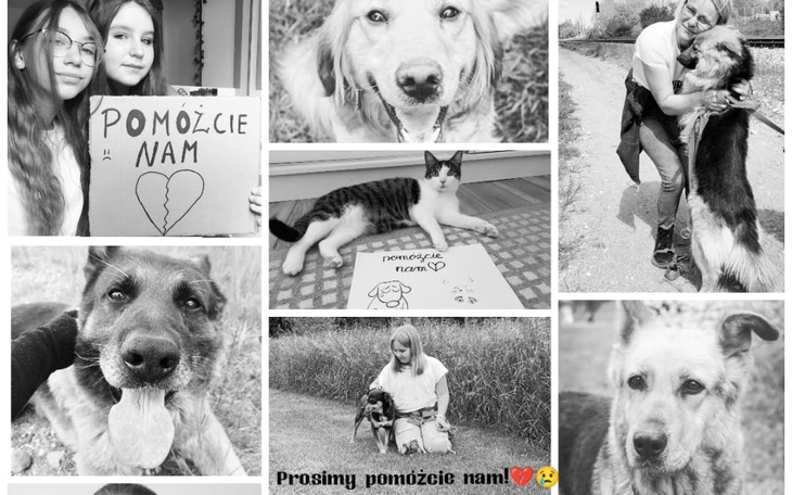 Zbiórka Uratujcie nasze Stowarzyszenie - zdjęcie główne