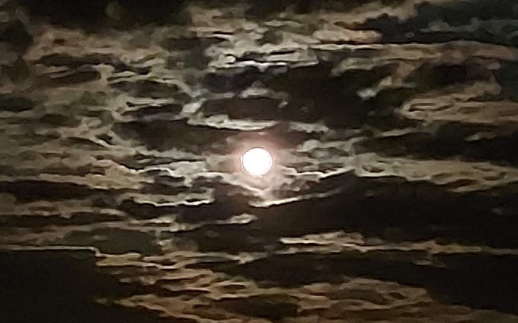 Zbiórka Bilety na festival - zdjęcie główne