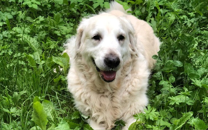 Zbiórka Pilne !!! - zdjęcie główne