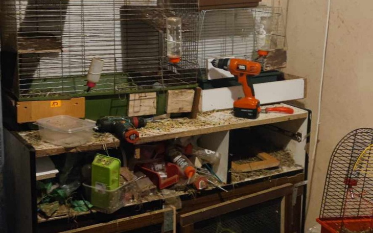 Zbiórka Czy mają prawo do życia - zdjęcie główne