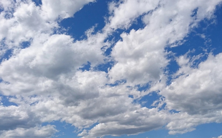 Zbiórka Zbiórka dla Fundacji - zdjęcie główne