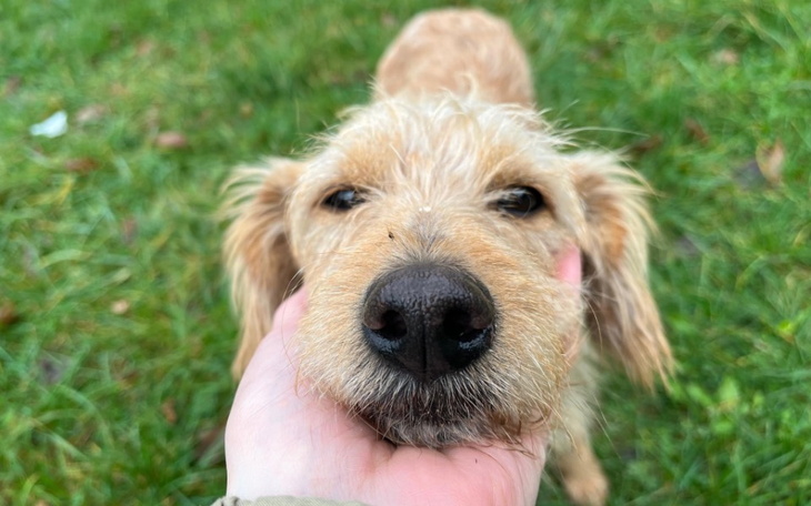 Zbiórka Transport do Poznania - zdjęcie główne