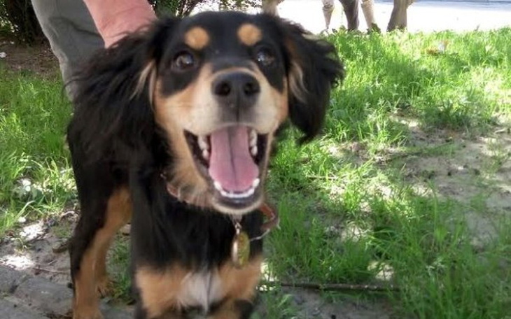 Mały kotek śpi na ręczniku, wygląda na spokojnego.