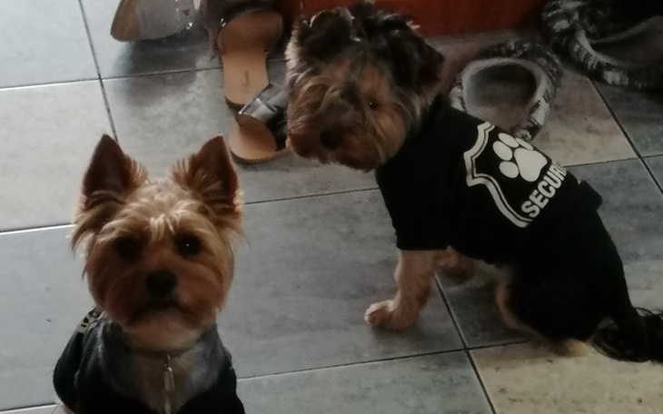 Zbiórka Na spłatę kredytów po teściu - zdjęcie główne