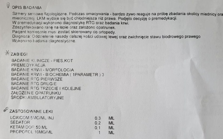 Zbiórka Skomplikowana operacja kotka - zdjęcie główne