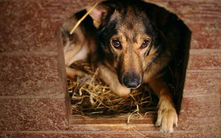 Zbiórka Złotówkobranie na ogrzewanie - zdjęcie główne