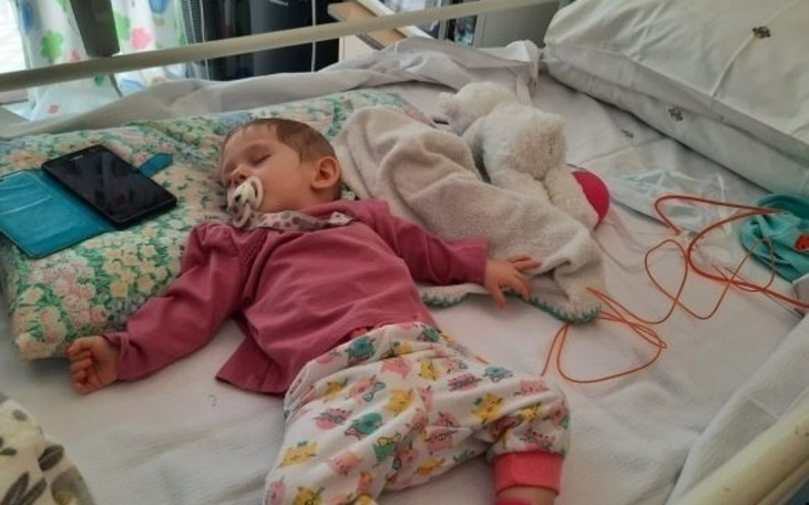 Zbiórka Maja nadal chce żyć bez oczka - zdjęcie główne