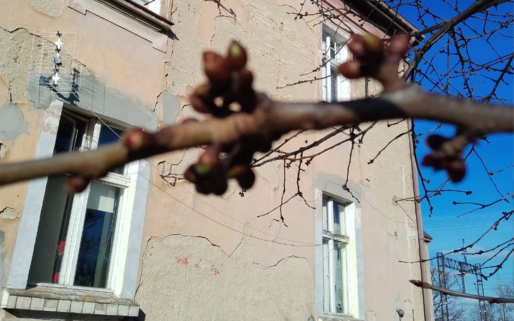 Zbiórka Usamodzielnienie mojego syna - zdjęcie główne