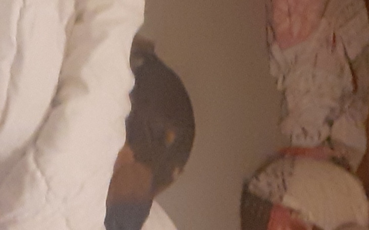 Zbiórka ...komputrw i monitor... - zdjęcie główne