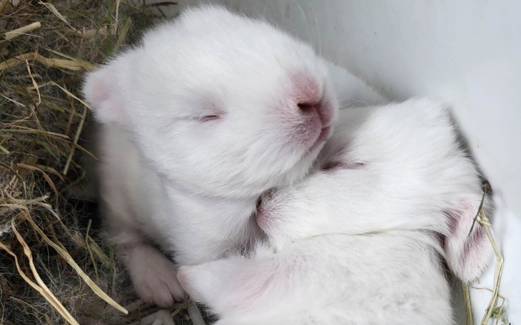 Zbiórka Odmienić los 11-stu żyć - zdjęcie główne