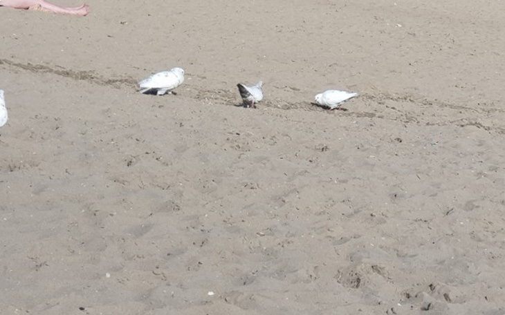 Zbiórka Zbieram na pracę i nowe życie w - zdjęcie główne