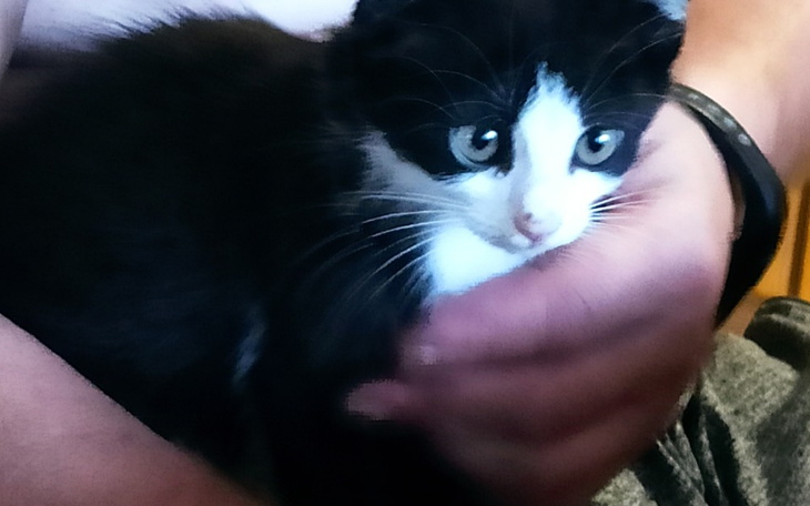 Zbiórka Jestem bardzo biedny - zdjęcie główne