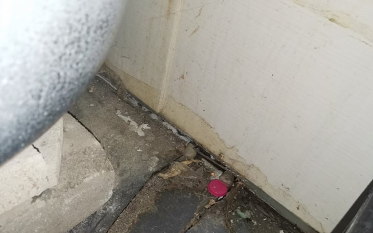 Zbiórka Na remont łazienki i wc - zdjęcie główne