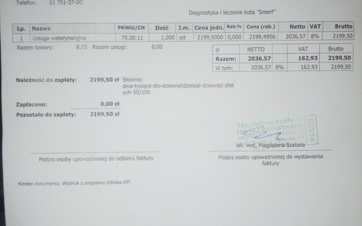 Zbiórka POMOCY Koci dom prosi o pomoc - zdjęcie główne