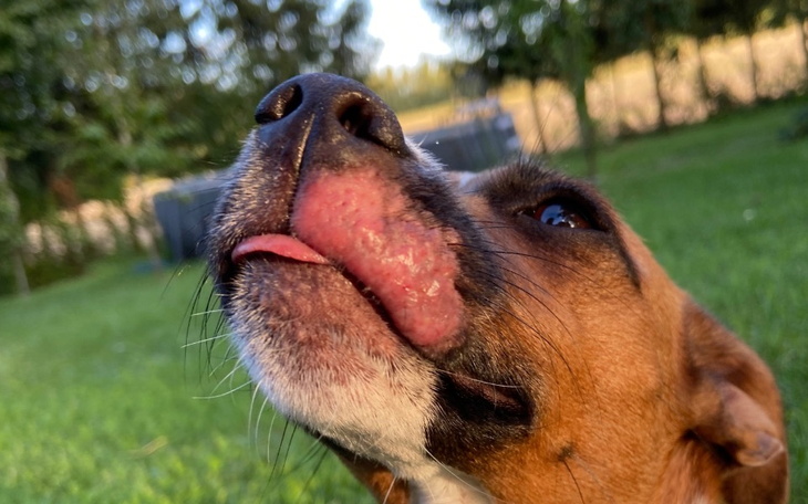 Zbiórka Na leczenie Toli - zdjęcie główne