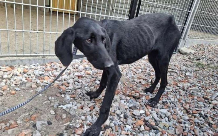 Zbiórka ISKRA - nowy start w Fundacji - zdjęcie główne