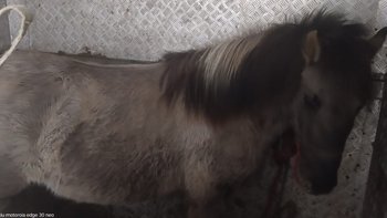 Zbiórka Droga bez powrotu - miniaturka zdjęcia