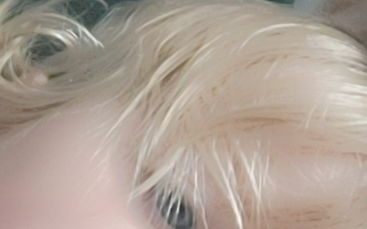 Zbiórka Na rodzinę. - zdjęcie główne