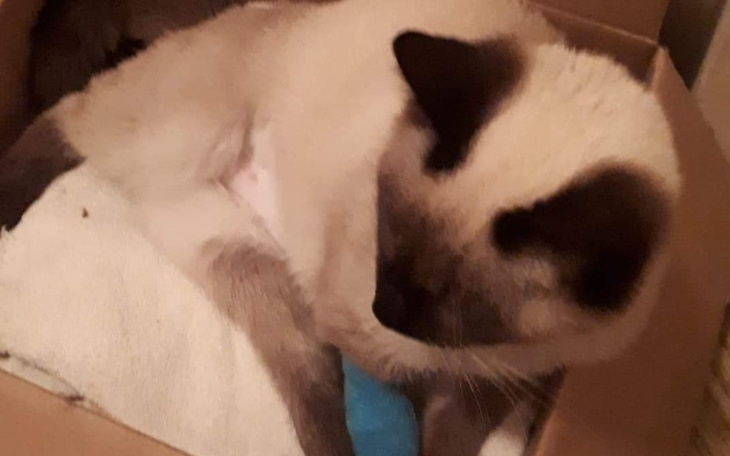 Zbiórka Potrzebna operacja pomóż mi żyć - zdjęcie główne