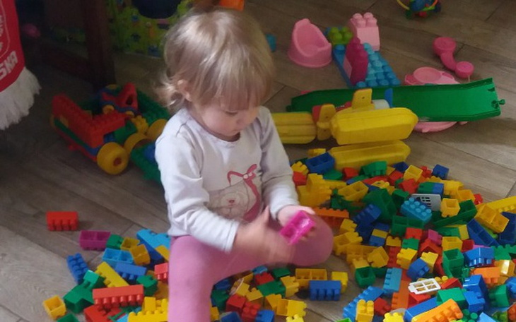 Zbiórka Remont domu i ogrodu - zdjęcie główne