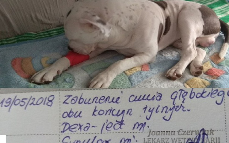 Zbiórka Rysio Zapalenie rdzenia kręgoweg - zdjęcie główne