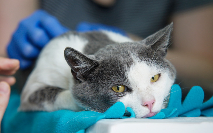 Zbiórka Mruczarnia, wrzesień - zdjęcie główne