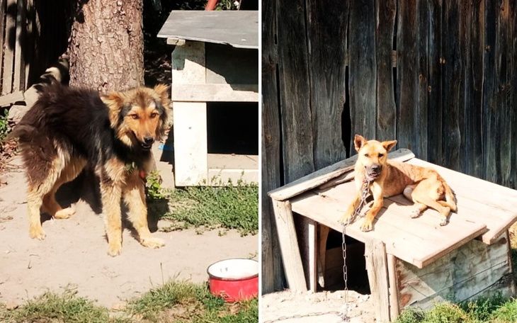 Zbiórka Jak długo można znosić głód - zdjęcie główne