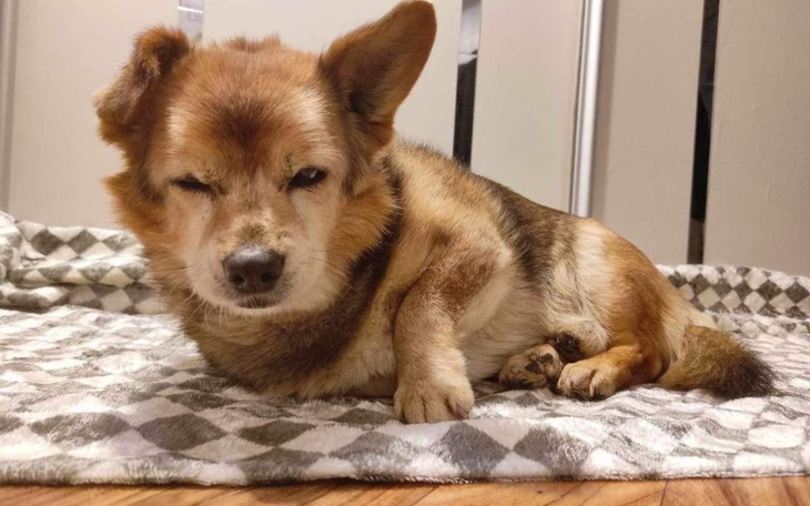 Zbiórka Diagnostyka Duszka - zdjęcie główne