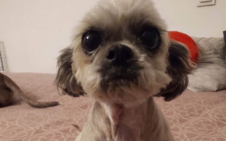 Zbiórka Operacja ratująca życie PILNE - zdjęcie główne