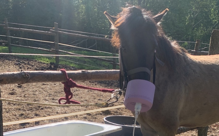 Zbiórka Lepszy oddech dla Hitka - zdjęcie główne