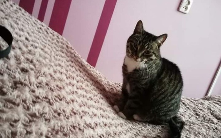 Zbiórka Upadłam z balkonu, nie chodzę - zdjęcie główne