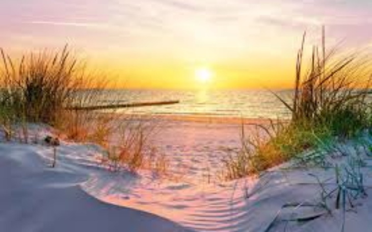 Zbiórka Na wakacje 2023/2024 - zdjęcie główne