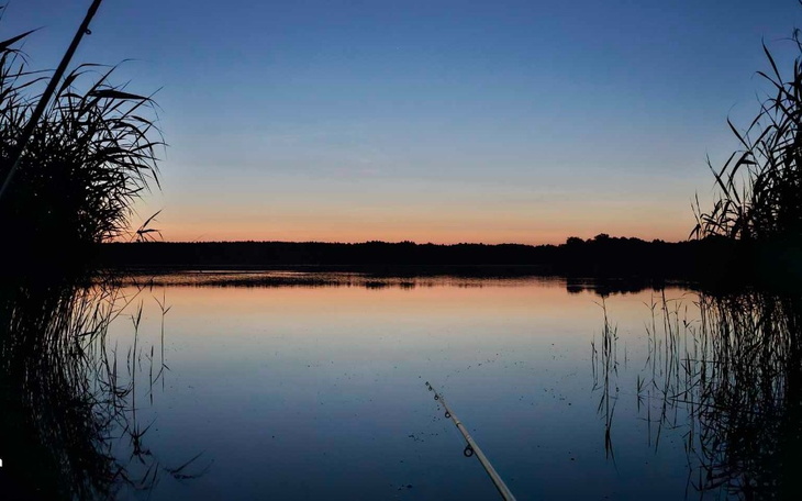 Zbiórka Rachunki czynsz żywność - zdjęcie główne