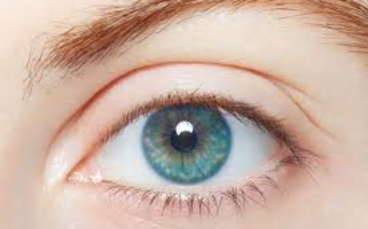 Zbiórka Tajna Korekta wzroku - zdjęcie główne