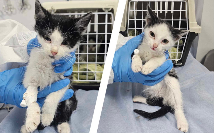 Zbiórka Kruszynki w szponach śmierci - zdjęcie główne