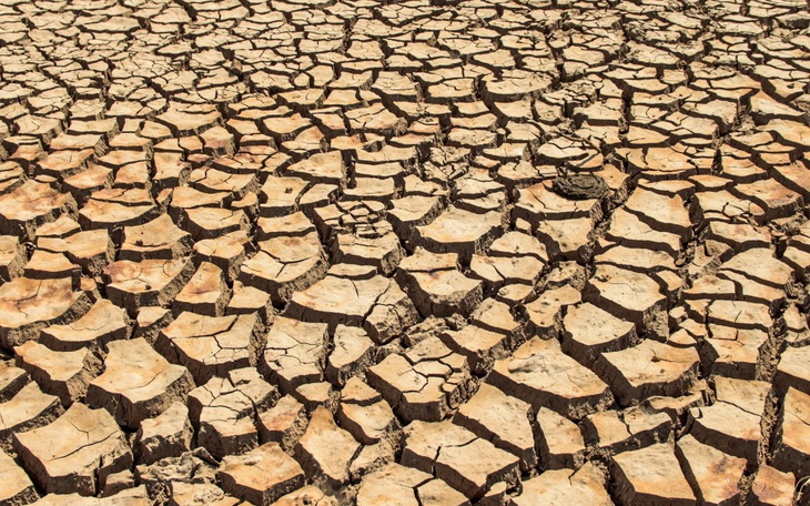 Zbiórka DoprowadzenieWodyDoMiejscSuszy - zdjęcie główne